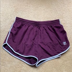 adidas purple dolphin shorts